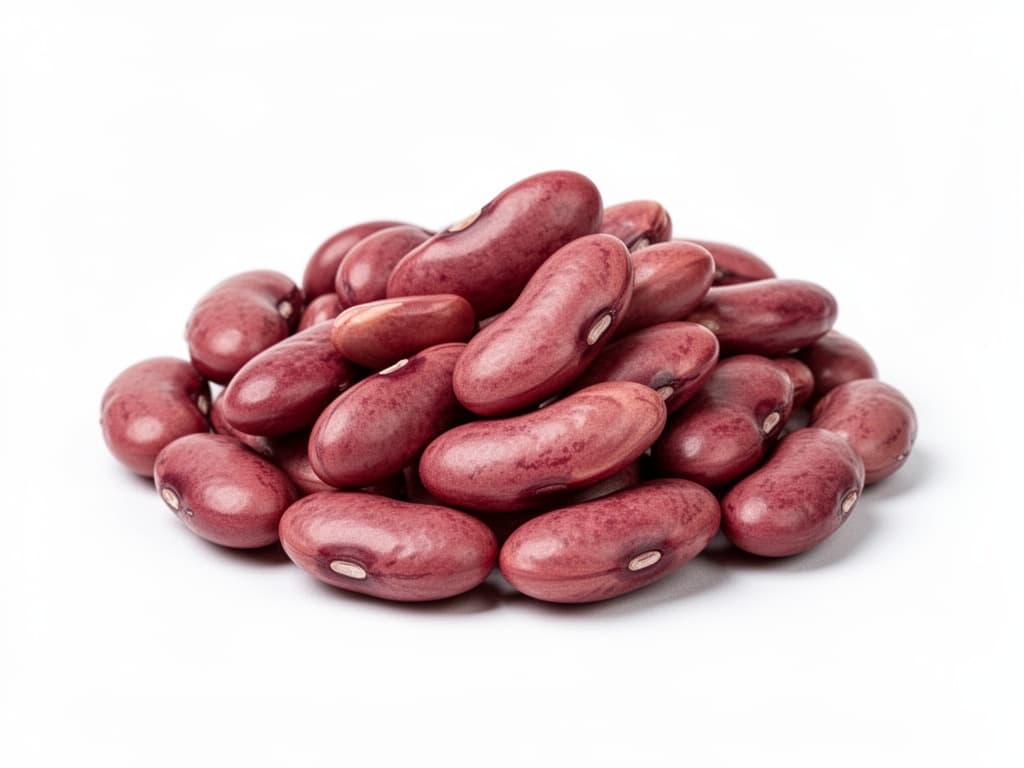 haricot rouge cuit